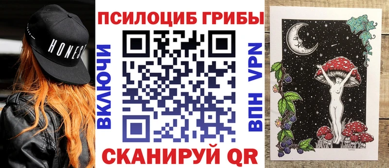 Купить закладки Надым Псилоцибиновые грибы прущие грибы